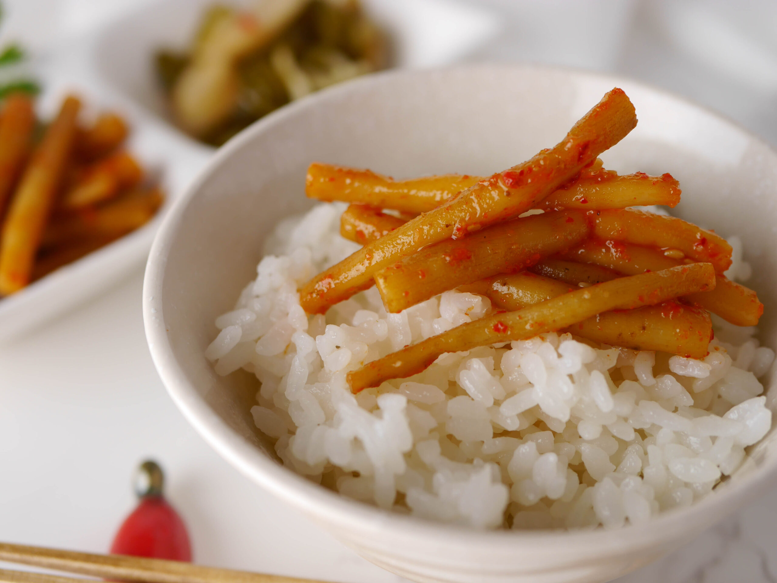 細ごぼうキムチ漬 株式会社おばねや